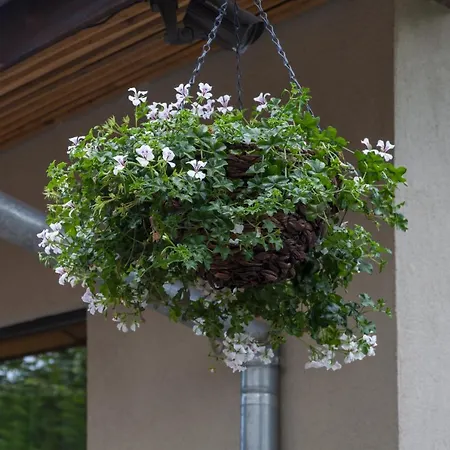 Kabakum House Σπίτι διακοπών